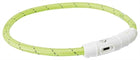 Halsband hond lichtgevend groen USB 65 cm