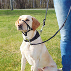 Trixie Top Trainer Dog Harness Anti-Pull Harness Black