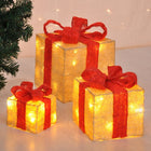 Hi Kerstverlichting Geschenkdoos Met Rode Linten 3 St Led champagne and red