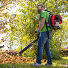 Scheppach Bladblazer Lb5200Bp 1,9 Pk