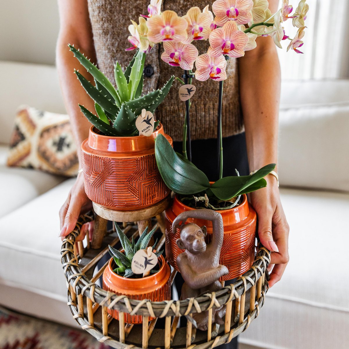 Plantenstandaard hout rond 12 cm