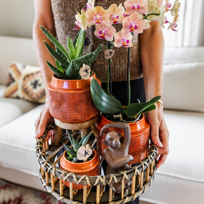 Plantenstandaard hout rond 12 cm