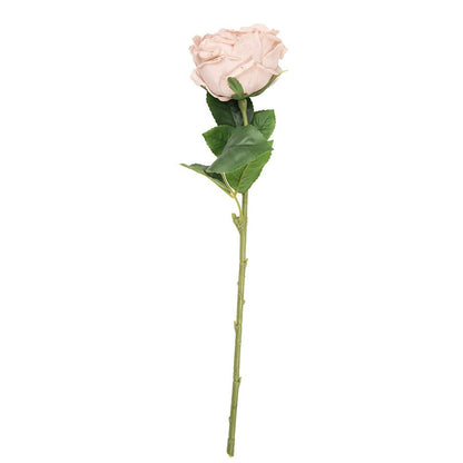 Artificial Flower Rose 43 cm Beige Plastic