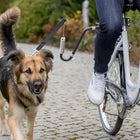 Trixie Bicycle Carrier U-Shape