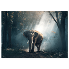 Wall rectangle elephant