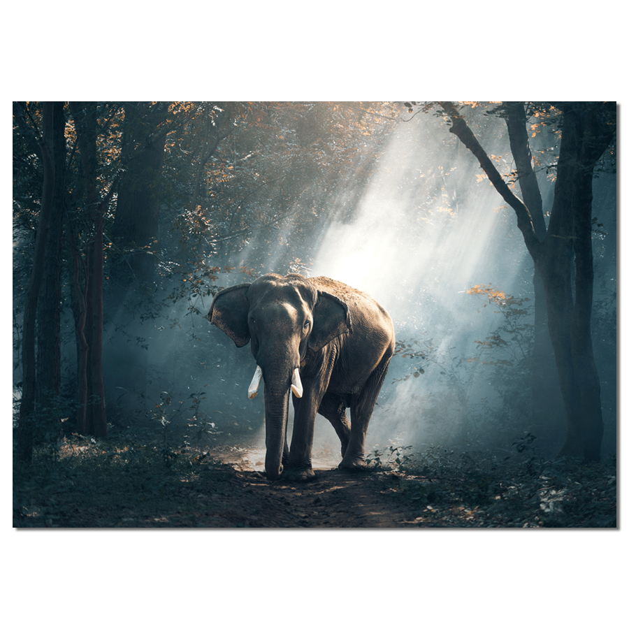 Wall rectangle elephant
