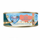 Renske Hond natvoer zalm graanvrij 24 x 95g