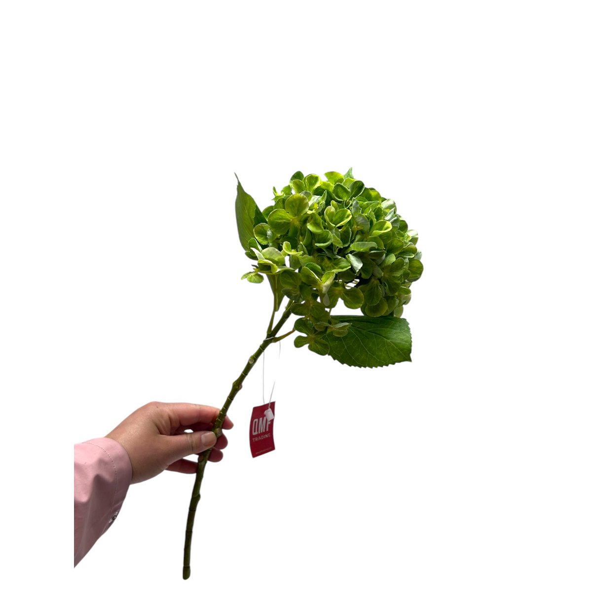 Artificial flowers Hydrangea Macrophylla Green | Silk artificial flower | Length 50 1pcs