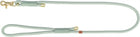 Hondenriem 100x1 cm saliegroen mint
