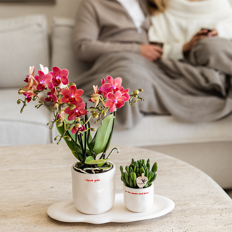 Decorative Pot White with 'To the moon and back' Text (Ø9 cm)