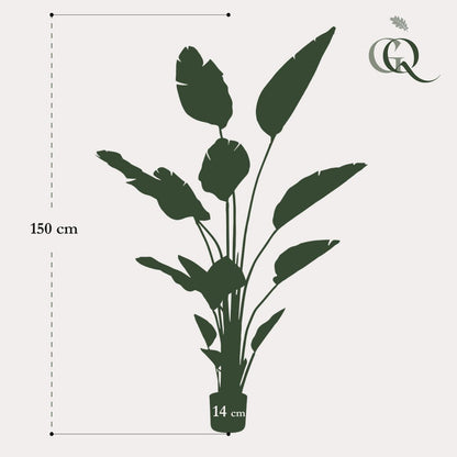 Kunstplant Strelitzia Nicolai 150 cm