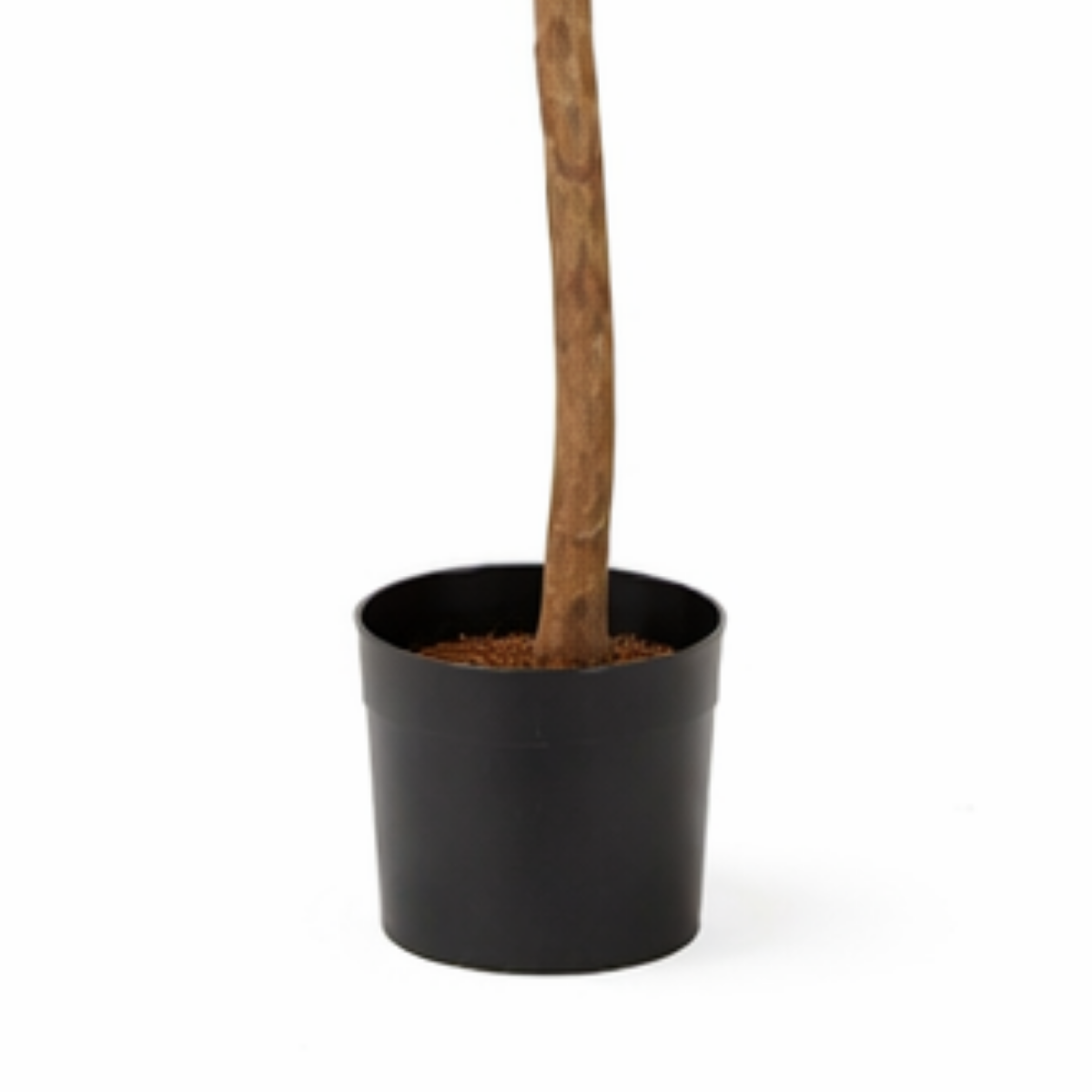 Kunstplant Ficus Triangularis 150 cm groen