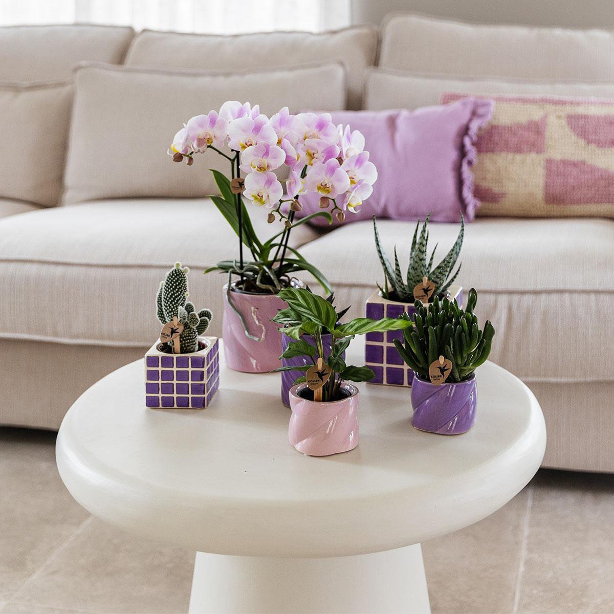 Sierpot keramiek roze Ø6x6 cm