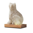 Himalaya zoutlamp kat 13 cm USB met houten voet