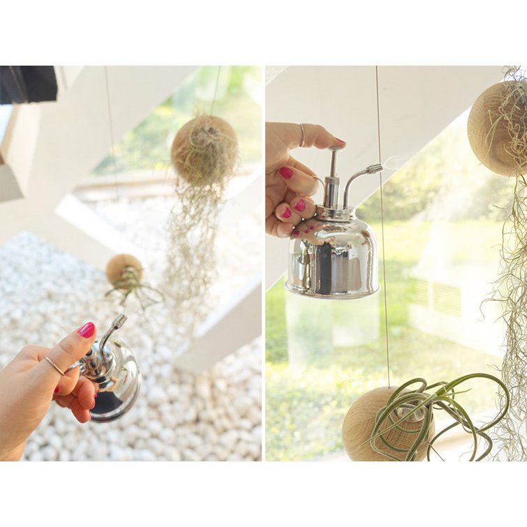 Hangbol licht eiken Ø10 cm