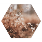 Muurdecoratie hexagon 24x20 cm wit