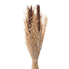 Droogboeket 60 cm bruin