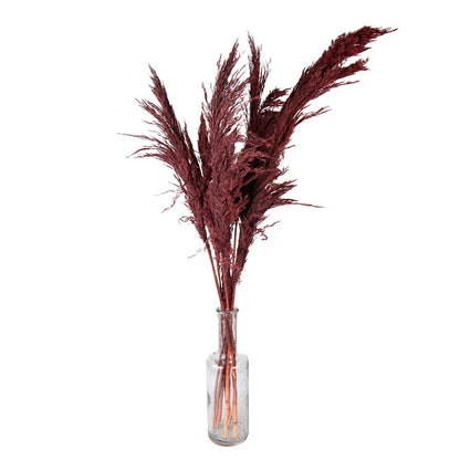 Droogboeket 100 cm rood bamboe gras