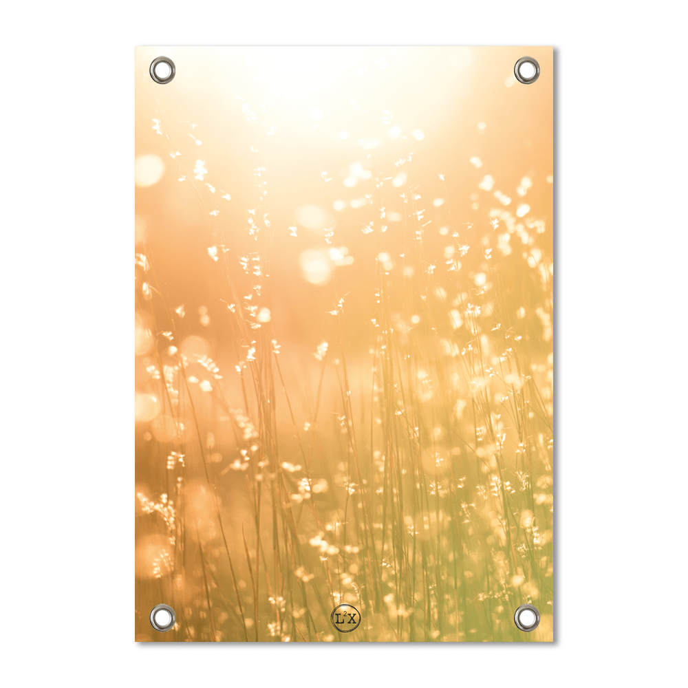 Garden poster bright sun