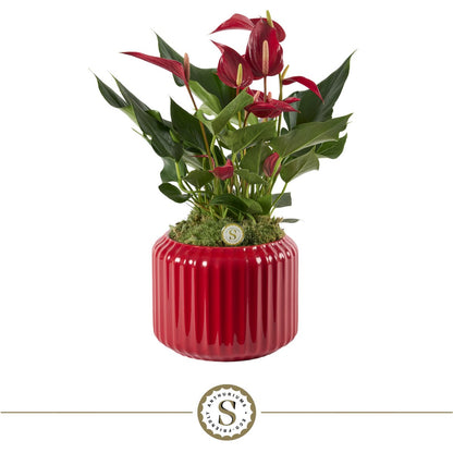 Sierpot keramiek 16 cm rood ribpatroon