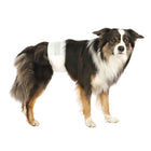 Trixie Male Dog Diapers