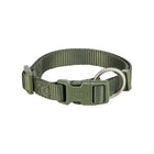 Halsband hond 15-25x1 cm olijfgroen