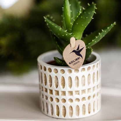 Decorative Mosaic Plant Pot Ø6 cm