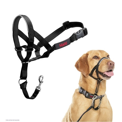 The Company Of Animals Company Of Animals Halti Headcollar Zwart