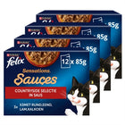 Felix Sensations Countryside Selection in Sauce
