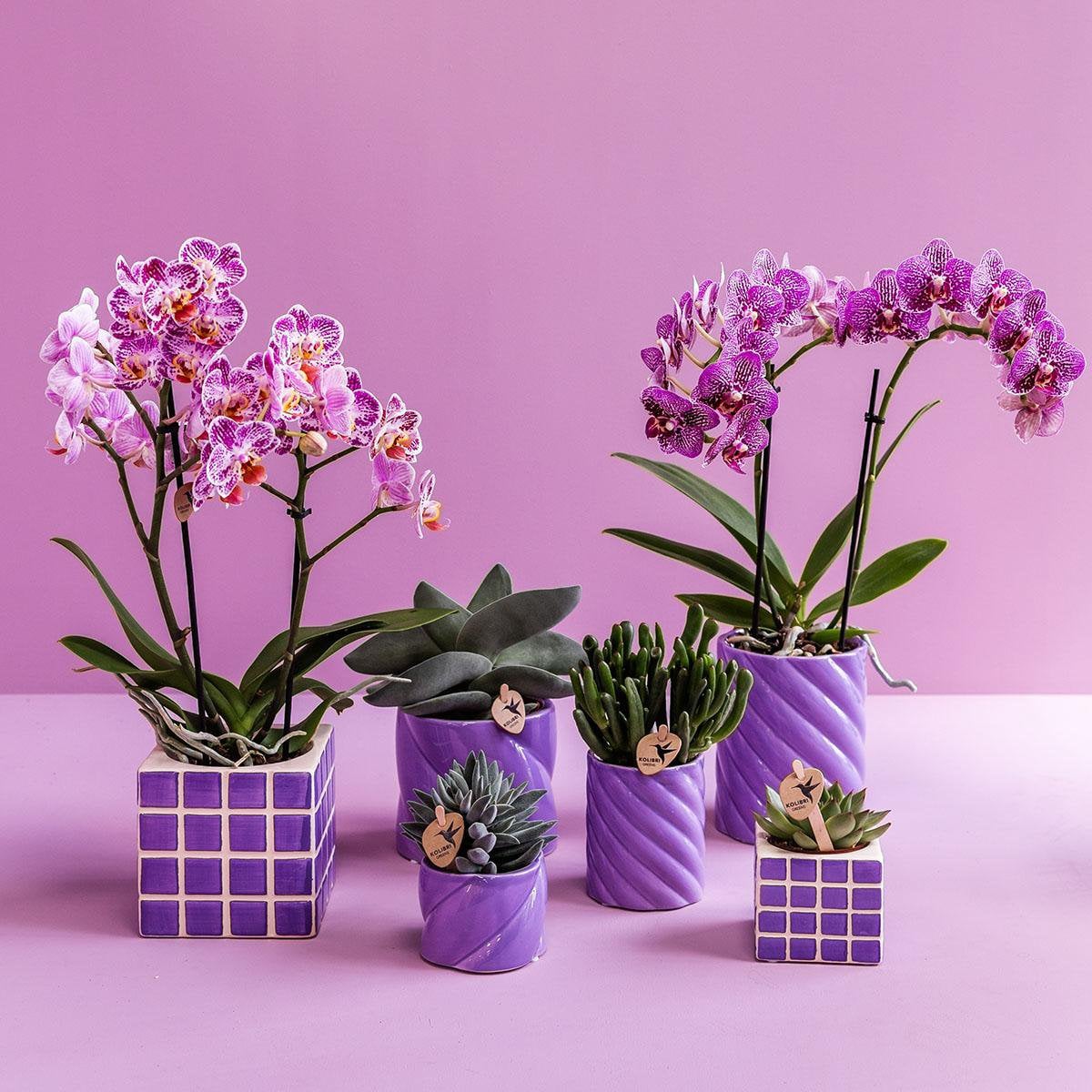 Sierpot keramiek Ø9 cm lila