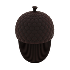 Autumn acorn