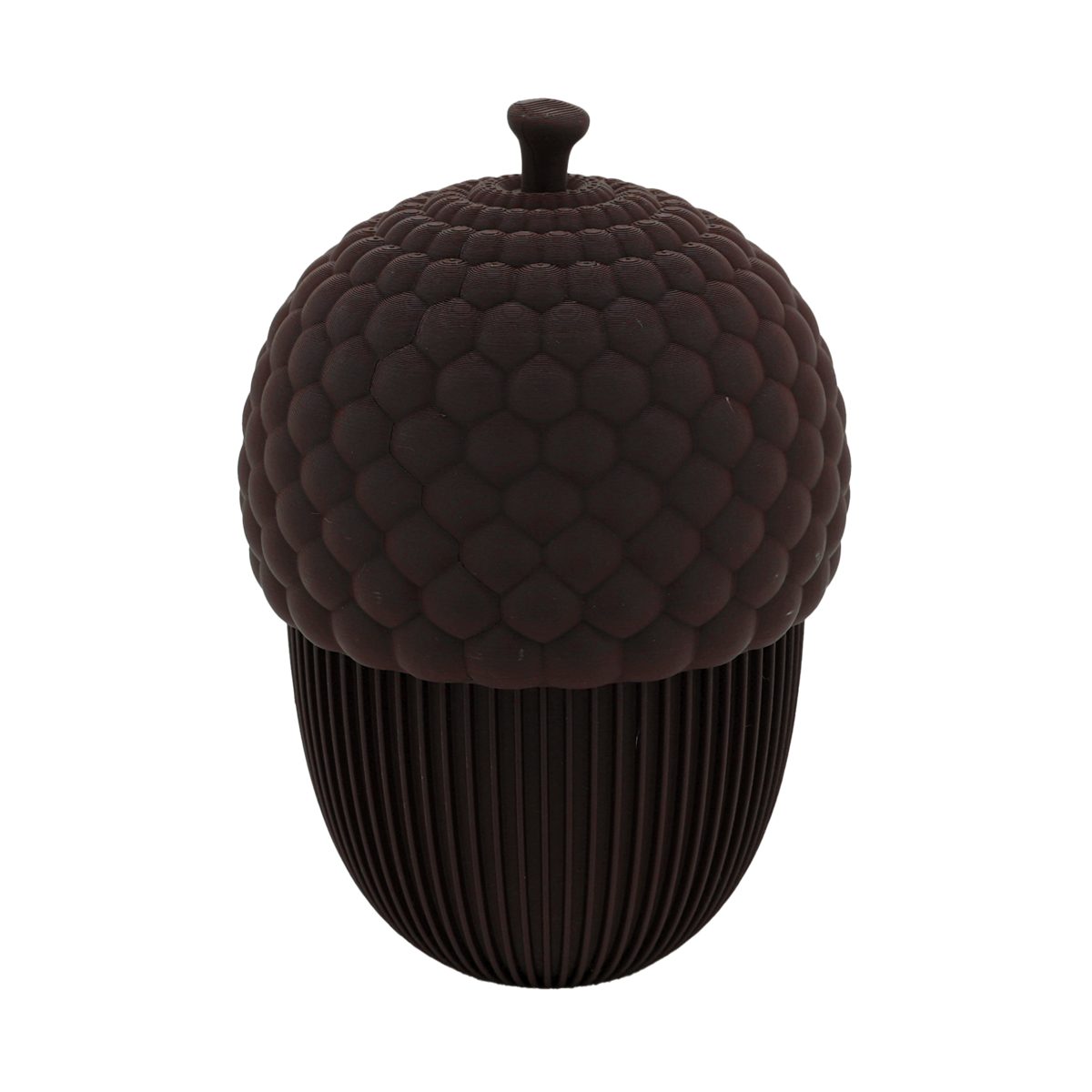 Autumn acorn