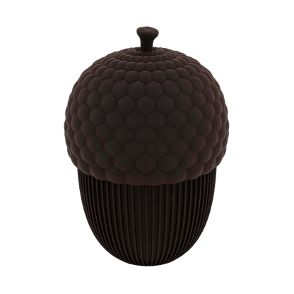 Autumn acorn