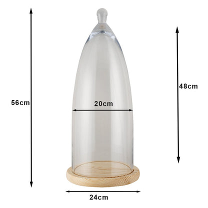 Glazen stolp 24x56 cm hout