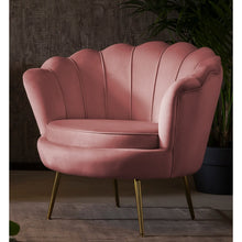 Shell armchair in Rose velvet