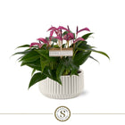 Keramieken pot 18 cm wit ribbelstructuur