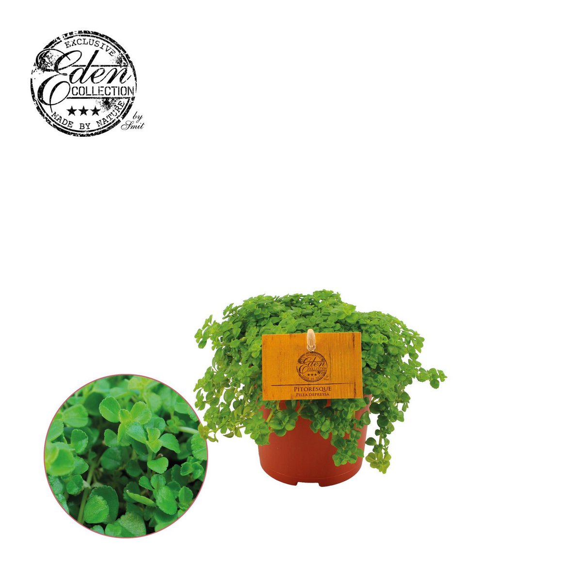 Verlaagde stapel - Ø10,5 cm - ↕15 cm
