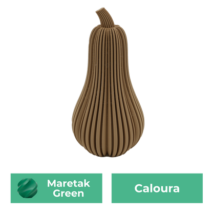 Caloura Pumpkin