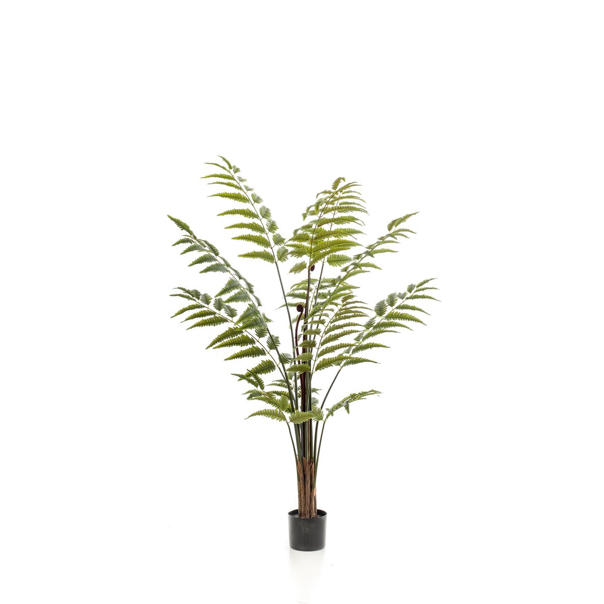 Kunstplant Ledervaren 150 cm