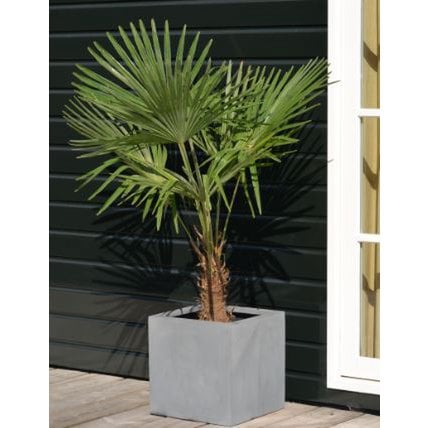 Plantenbak fiberstone 40x40x40 cm grijs
