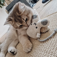 Katten speelgoed set met catnip 3 stuks