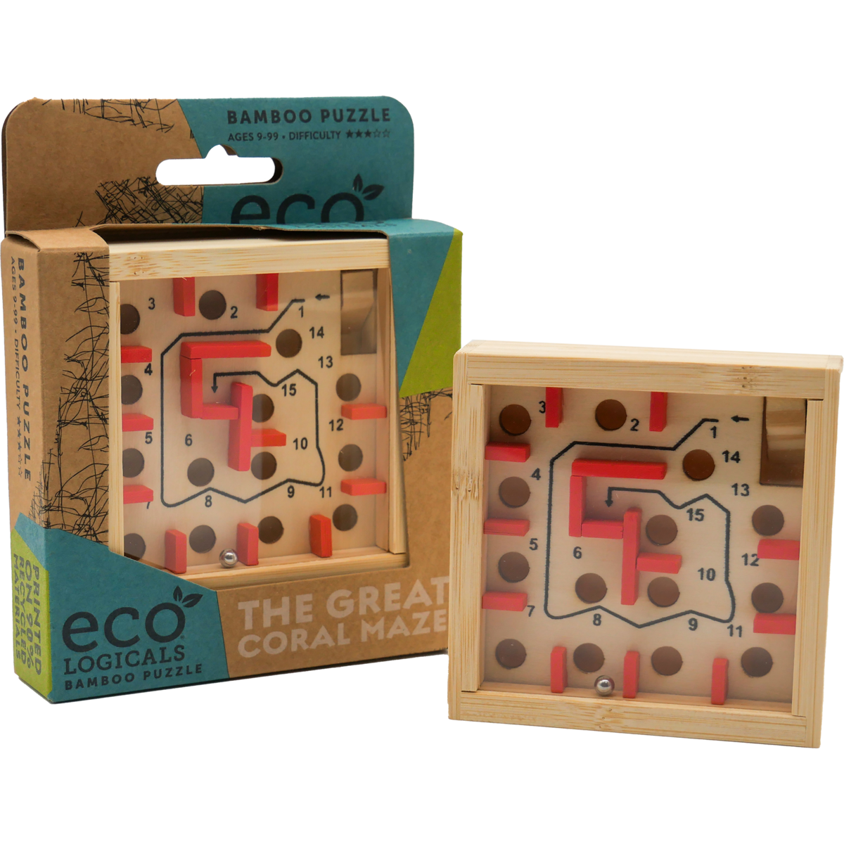 Brain Teaser The Great Coral Maze, Project Genius, EC302