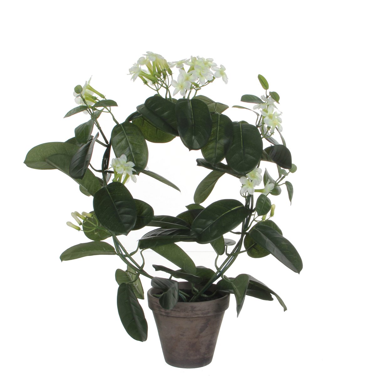 Kunstplant Stephanotis 50x40 cm wit