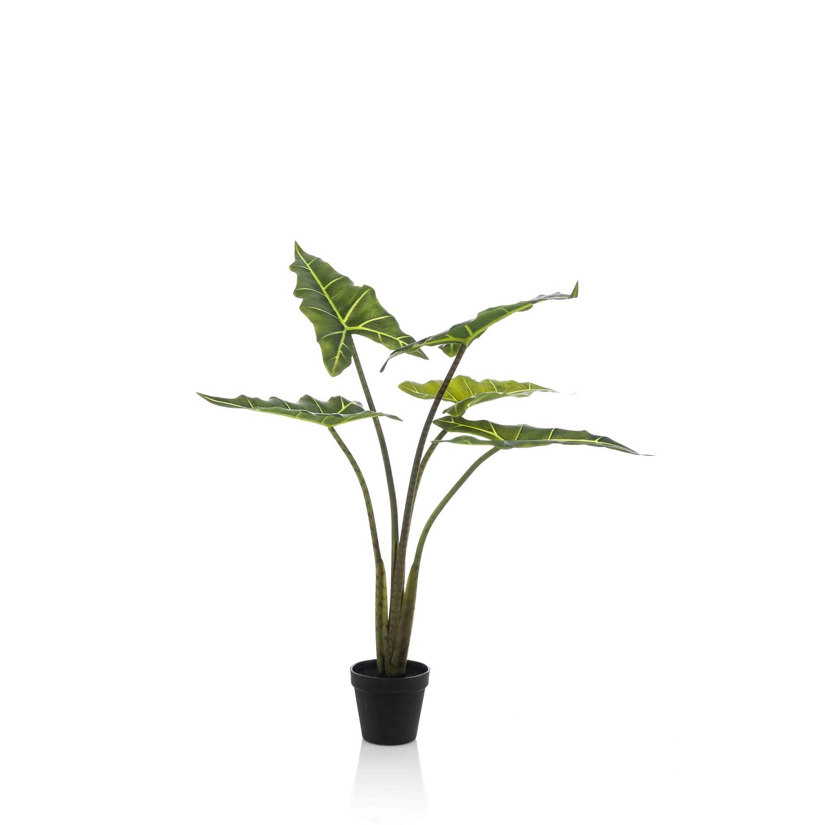 Kunstplant Alocasia Frydek 80 cm