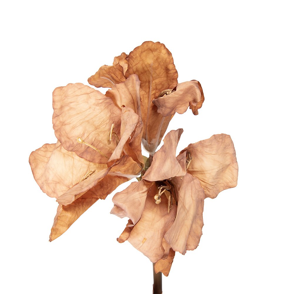 Kunstbloem 65 cm Bruin Kunststof