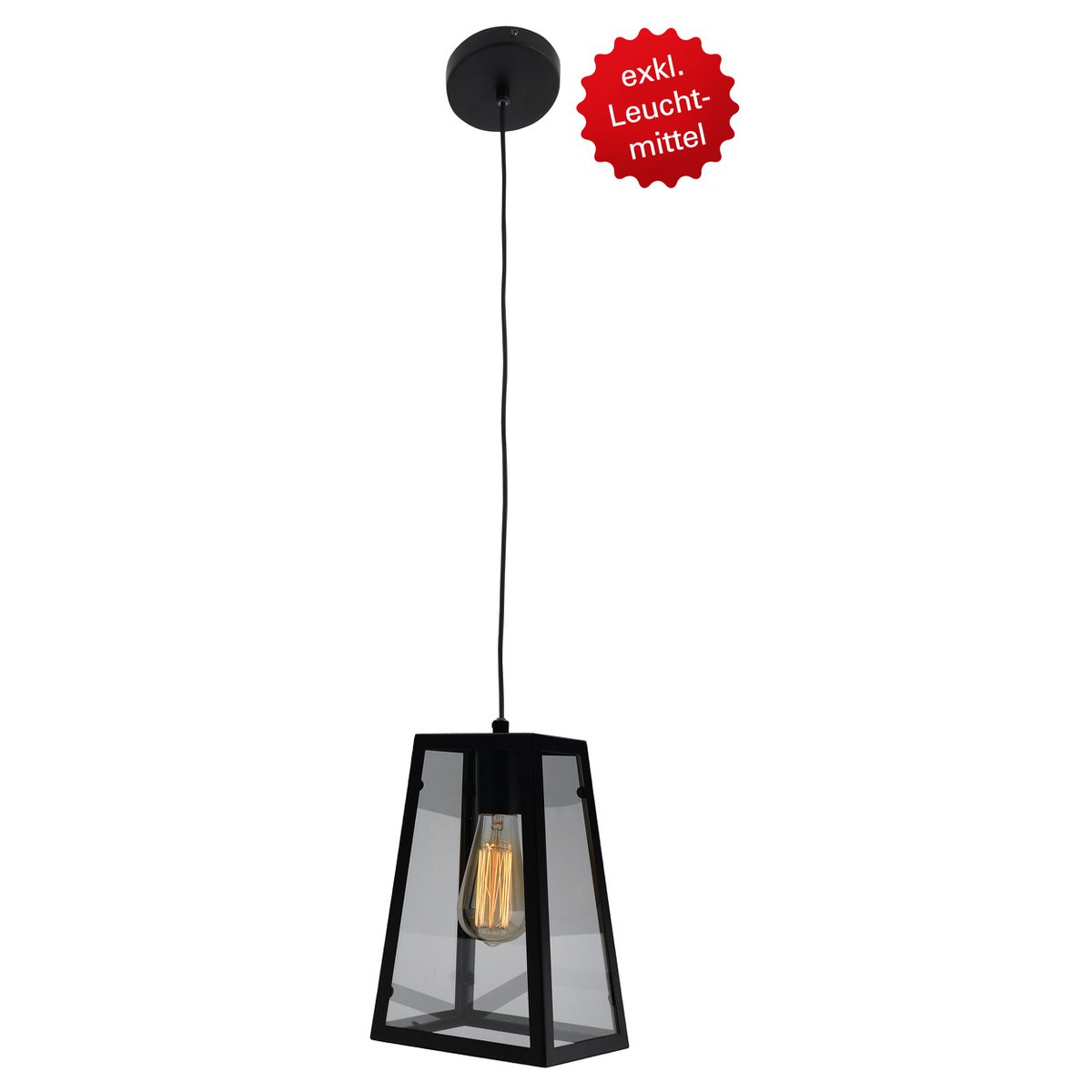 Metalen hanglamp Alex zwart