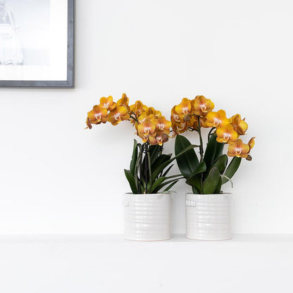 Handgemaakte Keramieken Bloempot Wit Ø9 cm