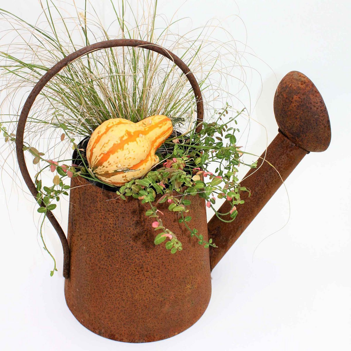 Decoratieve gieter 40x40 cm metaal roest patina