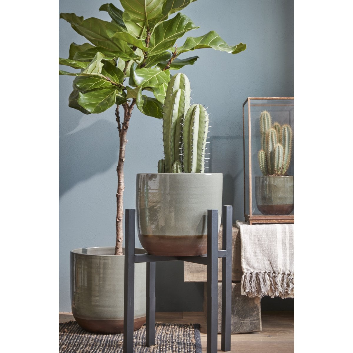 Plantenstandaard 50 cm zwart ijzer