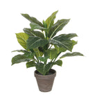 Kunstplant Evergreen 49 cm diameter 40 cm groen